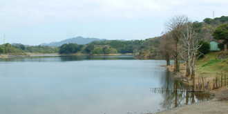 satsumakolake